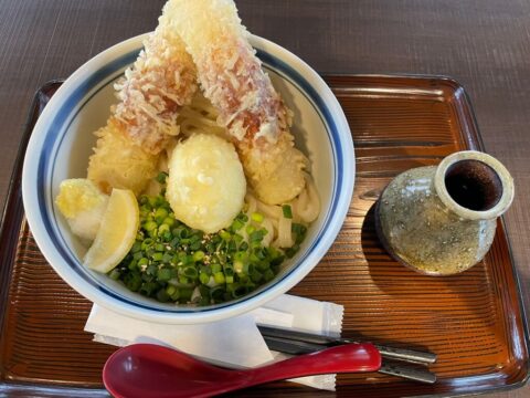 Chikuwa and egg tempura udon in Niseko Hirafu