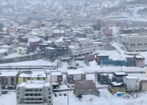 Mountain view from Grand Park Otaru room