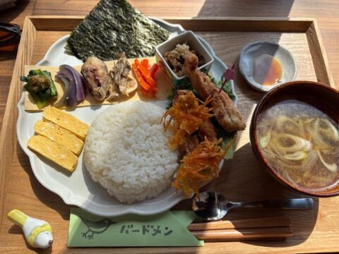Hand-roll sushi lunch set at Bird Men café in Niseko